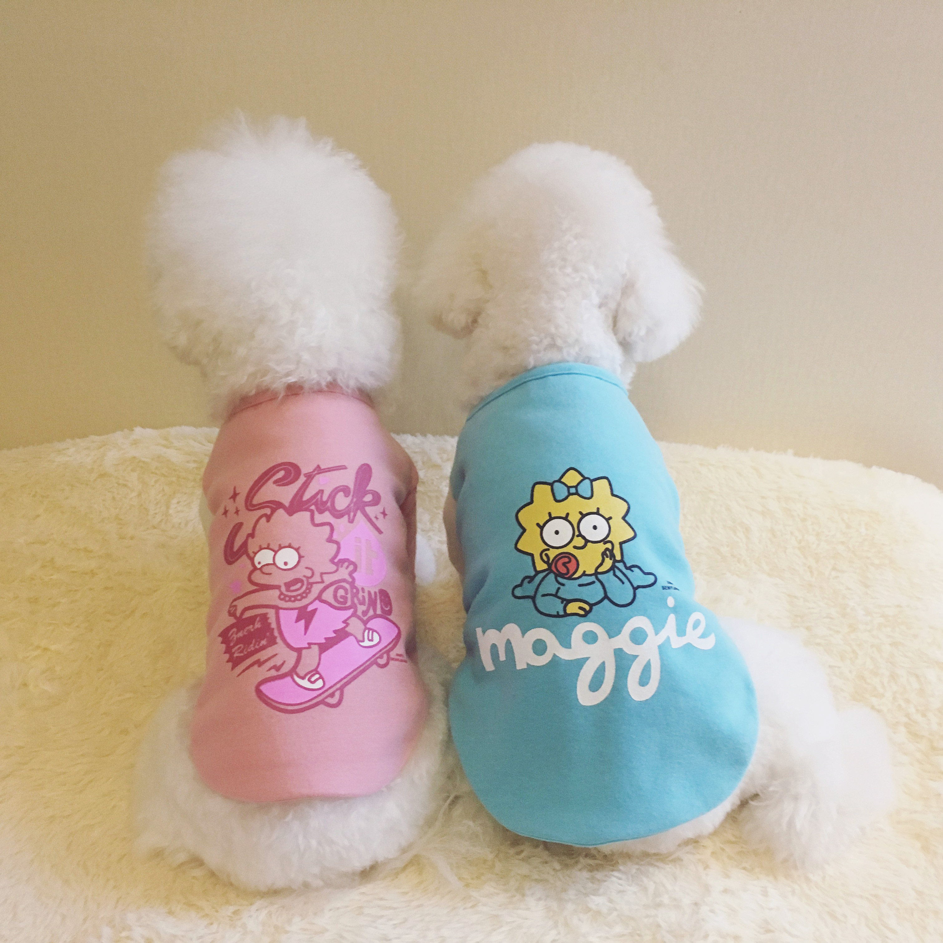 Spring and summer new candy color pure cotton Korean version thick cotton T pet clothing puppy clothes Bichon Teddy clothes spring clothes