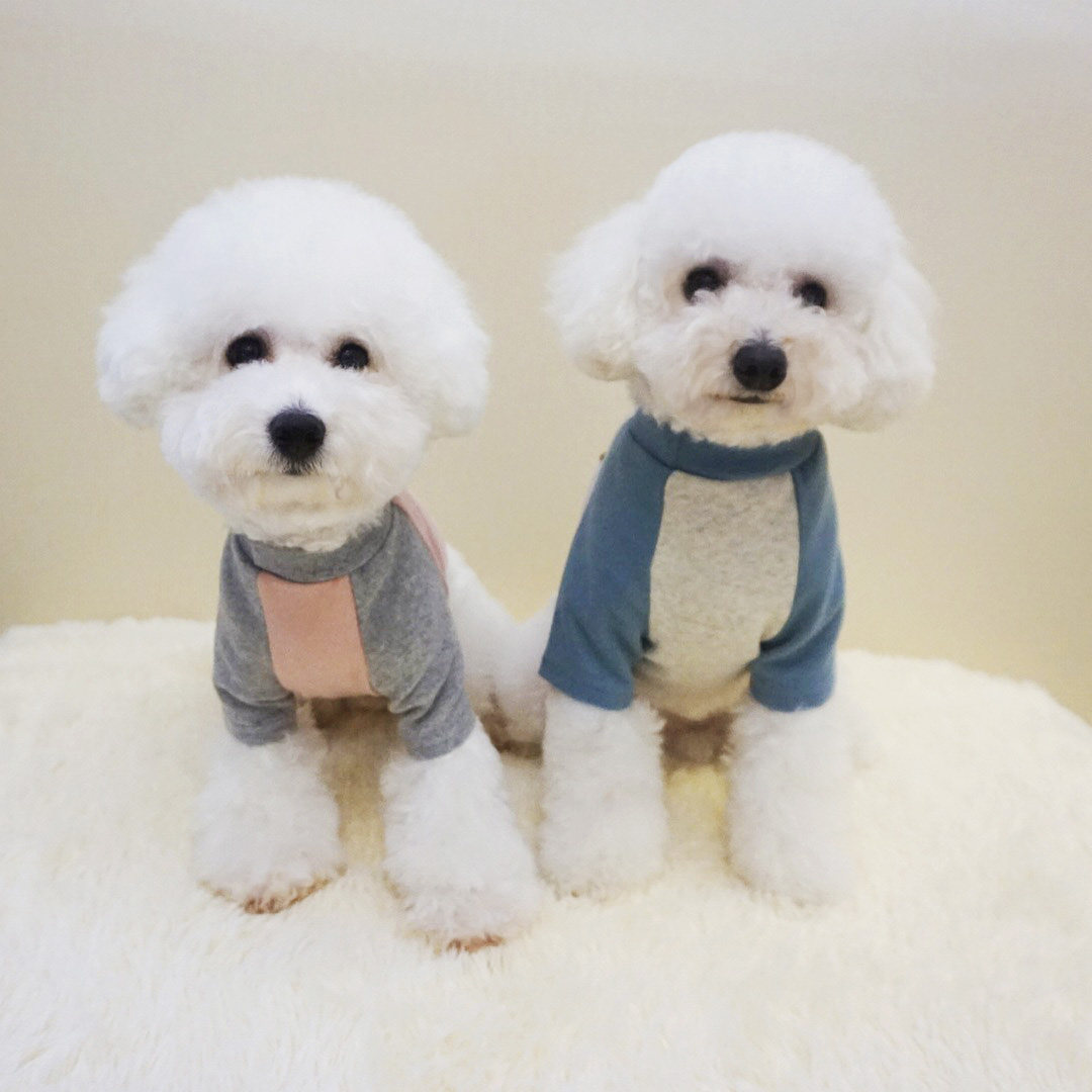 Dog clothes autumn cotton pet dog cat clothes dog bottoming shirt small dog cat autumn and winter clothes
