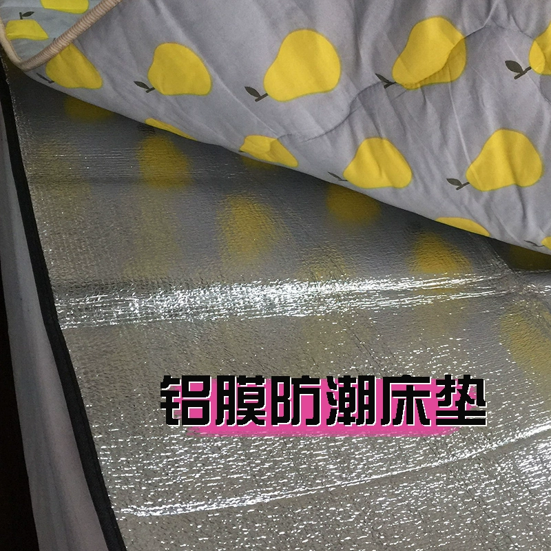 Phòng ngủ ký túc xá trường đại học giường tầng đơn thảm chống ẩm thoáng khí, thảm dã ngoại nệm chống thấm nước chống nấm mốc - Thảm chống ẩm / Mat / Gối
