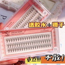 Send Glue Tweezers Dream Deer Single Strain Cluster Natural False Eyelash Segmental 0-01 coarse C Teething Graft