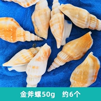 Golden Axe Snail 50G около 6