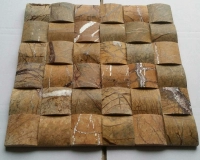 Тропический лес