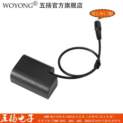Wuyang WOYONG DMW-DCC12 BLF19E fake battery GH5 GH4 G9 GH5S camera external power supply