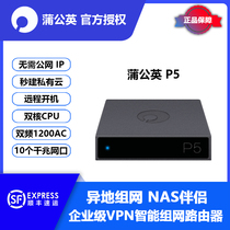 Dandelion P5 Gigabit bypass networking box Hard disk change cloud disk NAS companion Enterprise VPN Set up a local area network
