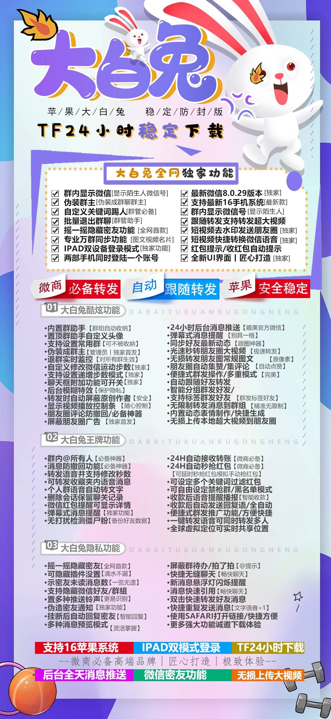 大白兔.jpg