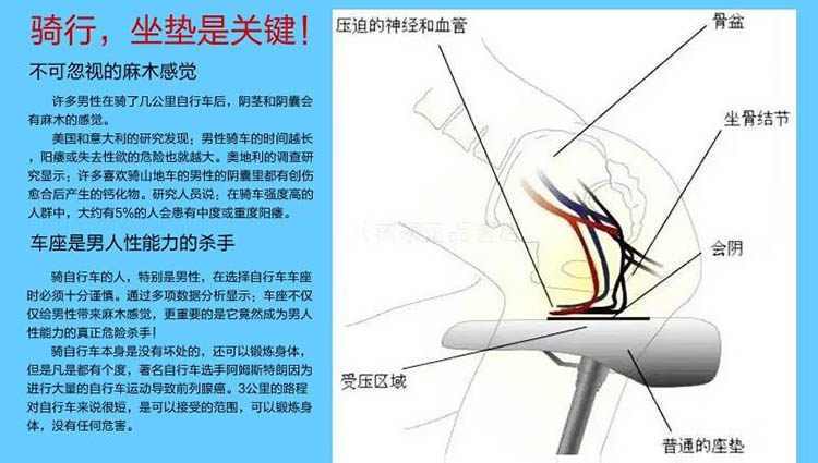 Selle de vélo - Ref 2350383 Image 6