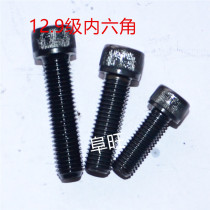 12 9-level cylindrical head inner hexagonal bolt cup head inner hexagonal screw M10 * 16-100