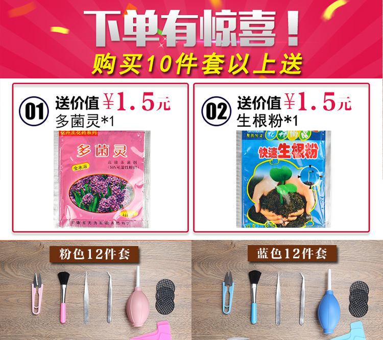 Multi-thịt công cụ thiết lập nhà thịt thực vật trồng hoa kết hợp nguồn cung cấp vườn chậu vận chuyển miễn phí vận chuyển chậu đất nung trồng cây