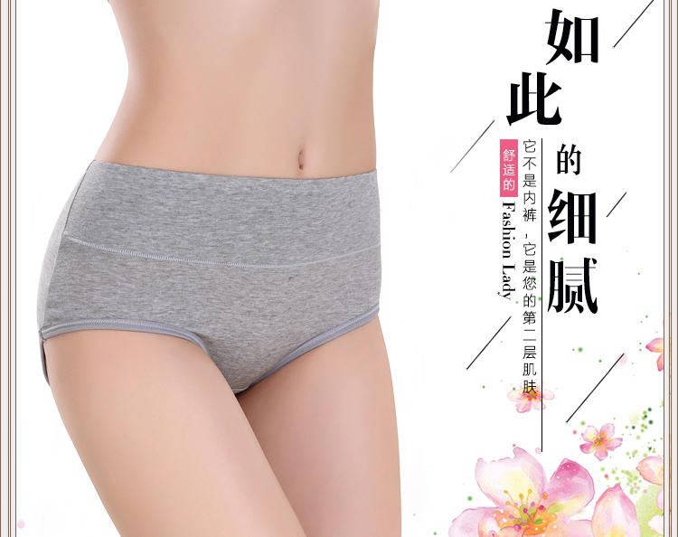 Slip simple en coton - Ref 640214 Image 10