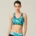 Chính hãng hosa Hosa Yoga Fitness Wear Đồ lót thể thao nữ Shockproof Fitness Bra vest 117421203 - Đồ lót thể thao quần áo tập gym nữ Đồ lót thể thao