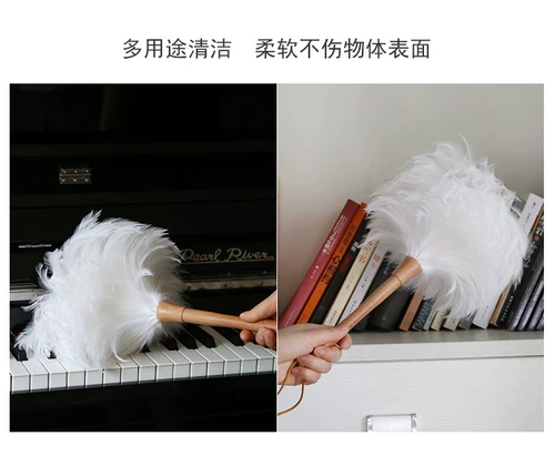 Работа утилизация пыли пыли пыли пыли пыли пыли щетка щетка белое петух