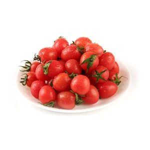 Миллениум Томат 500G/заменитель
