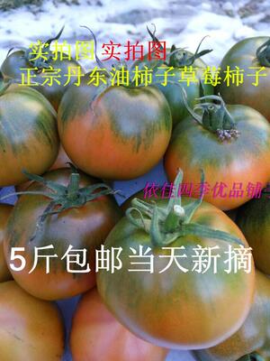 Dandong Donggang специальное масло хурмы, железная кожа, зеленая клубника, хурма, клубника, помидоры, щелочные помидоры, 5 фунтов, бесплатная доставка