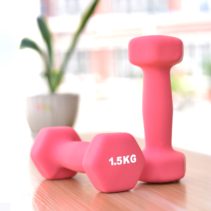 Small Dumbbells Woman Pair Weight Loss Jumping Playground Yoga Fitness Equipment Home Men's Children Practice Arm 5kg Ailing slim waist-Taobao