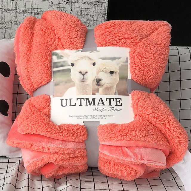 Exported to Europe and the United States double-layer flannel lamb velvet autumn and winter blanket thickened single double blanket coral fleece blanket