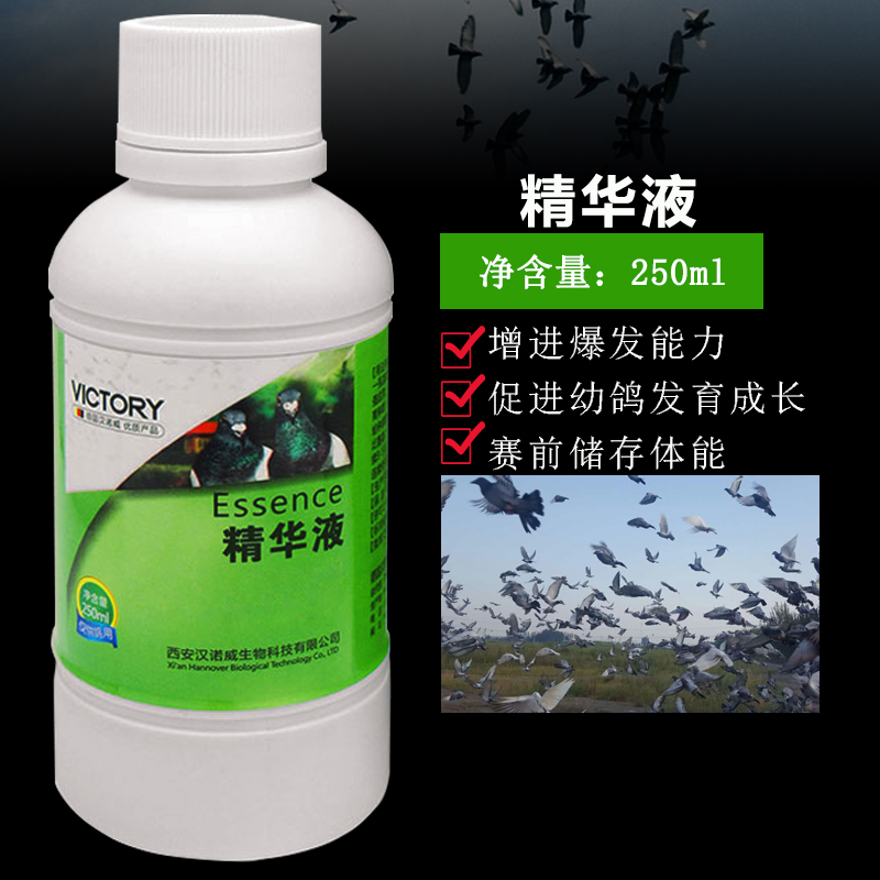 Thuốc chim bồ câu Hannover tinh chất Daquan 250ml đua chim bồ câu đua chim bồ câu đua cung cấp chim bồ câu trẻ dinh dưỡng lỏng - Chim & Chăm sóc chim Supplies thức ăn chim trĩ