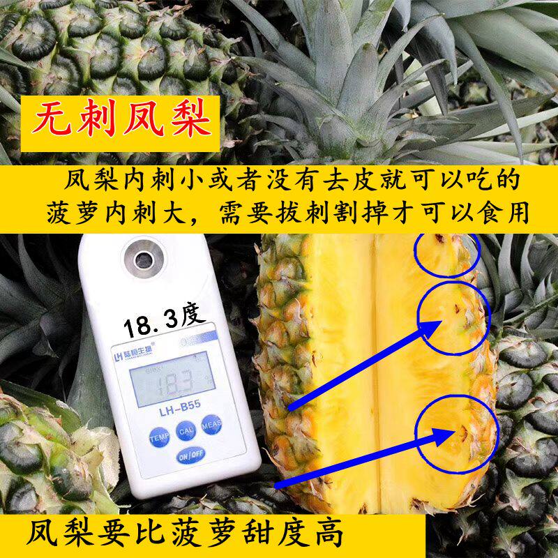 云南黑钻凤梨：无需挖眼削皮的甜蜜馈赠-凤梨-淘宝百科网