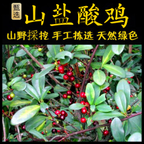 Sour Fruit Vine Root Freshly Picked Chaoshan Green Herb Mountain Hydrochloric Chicken Root Mountain Salty Sour Chicken Sour Fruit Vine into Dilong Root