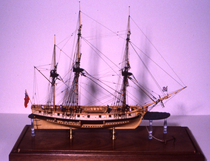 Hahn Full Rib Drawing 008 HMS pelican pelican