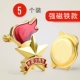 Shao Pioneer Big Magnets-5 подходит