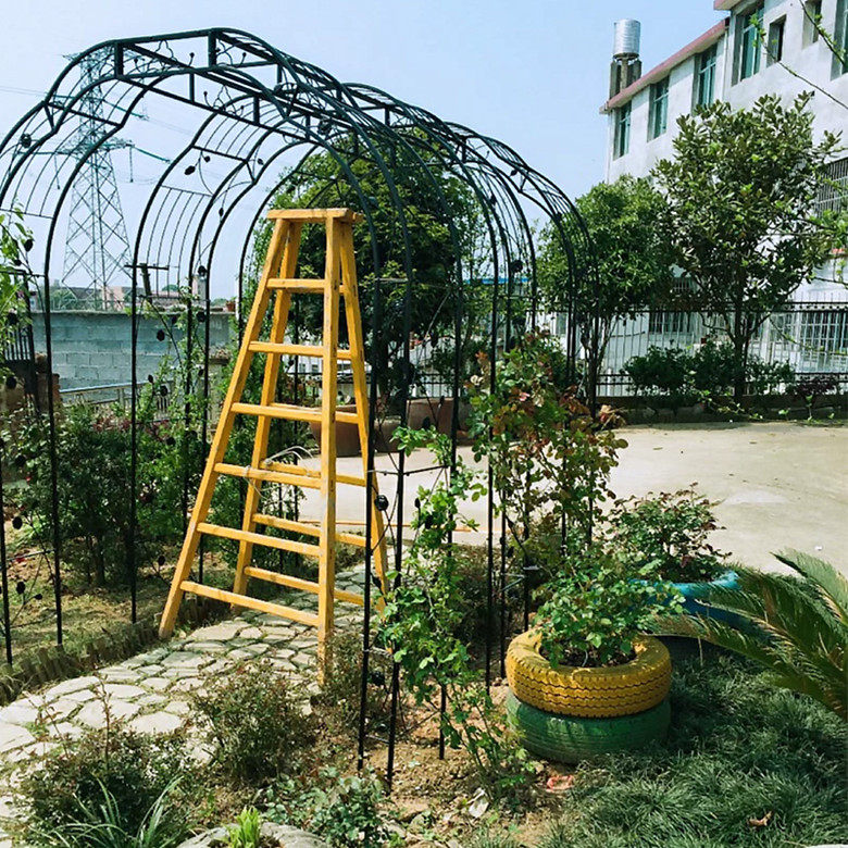 Iron Art Bird Cage Moon Season Arch Flowers Rack Outdoor Yard Flowers Climbing Rattan rack Courtyard Traction garden with small fur grass