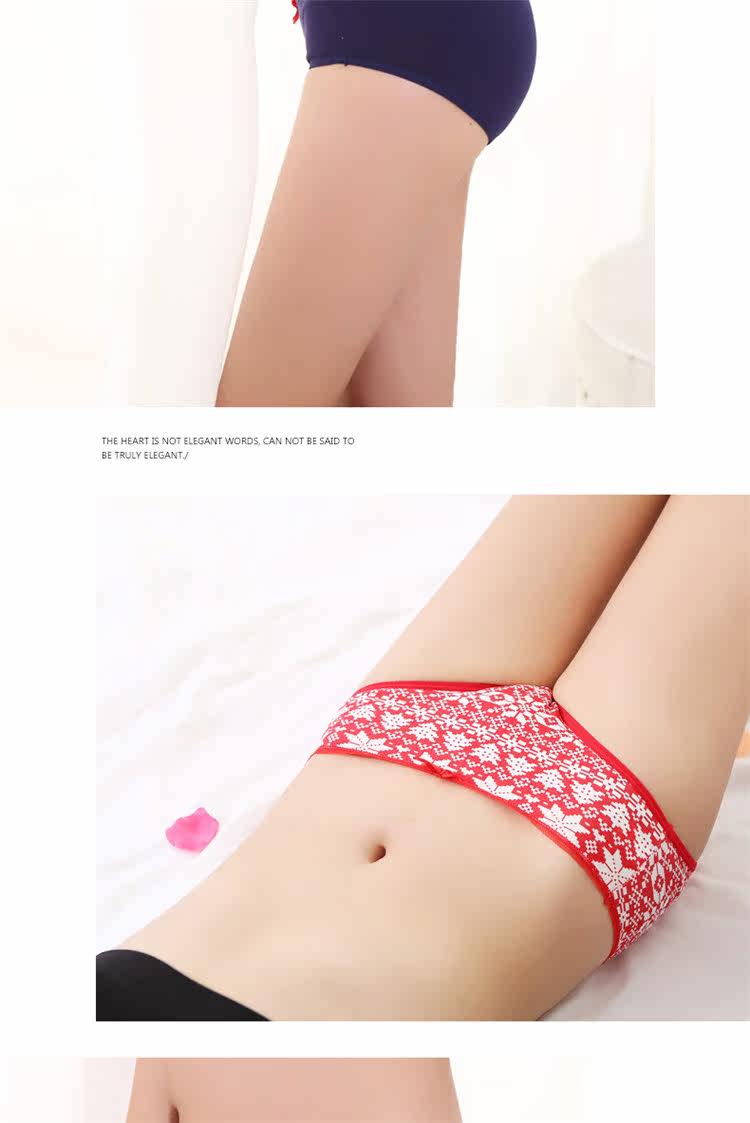 Slip jeunesse NF1425233-1 en coton - Ref 669090 Image 15