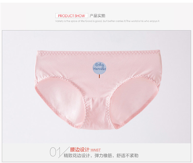 Slip jeunesse YC1635 en nylon - Ref 669033 Image 24