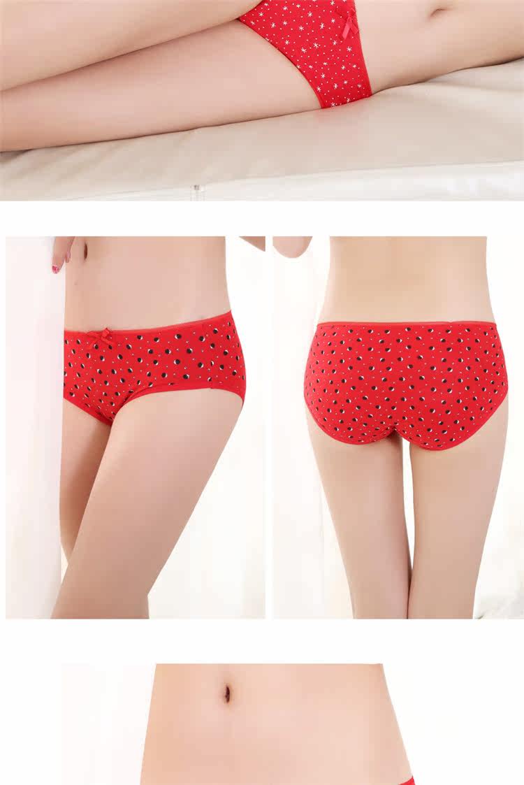 Slip jeunesse NF1425233-1 en coton - Ref 669090 Image 17