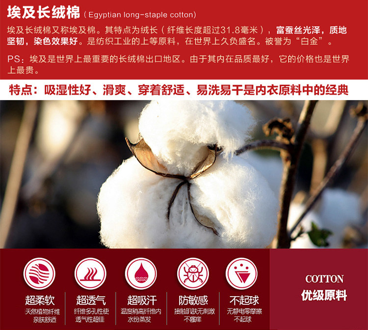 Sous-vêtement thermo jeunesse INNERSY Y8058/Y5058 en coton - Ref 767622 Image 11