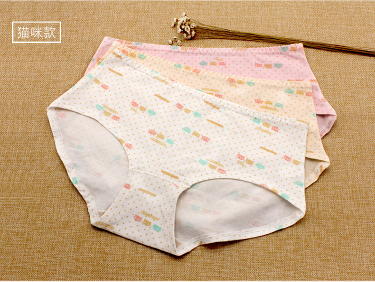 Slip jeunesse N8L6X20012 en coton - Ref 669039 Image 20