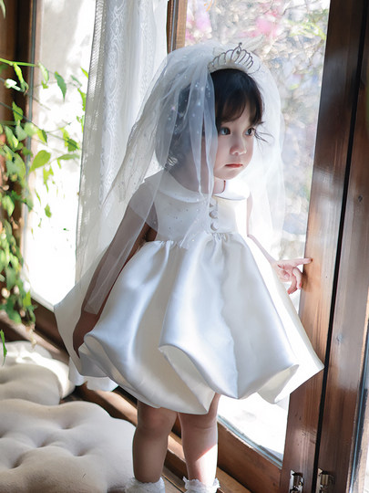 Baby Girl Birthday Party Princess Dress Baby's First Birthday Dress Spring and Summer New Flower Girl White Stylish Puffy Dress