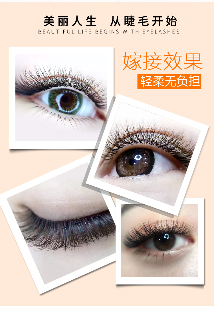 Ghép lông mi Camellia hai lớp từ tính một giây nước hoa tự nhiên 貂 美 美 cửa hàng đặc biệt trồng lông mi giả - Lông mi giả keo dan mi