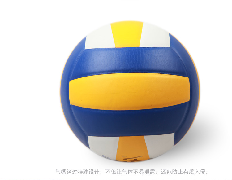 Ballon de volley - Ref 2016510 Image 6