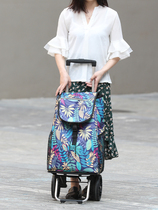  Household grocery shopping cart Small pull cart trolley car insulation shopping bag Elderly grocery shopping cart portable folding shopping cart