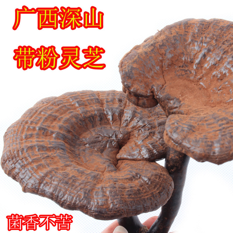 Guangxi Semi-wild Black Ganoderma Lucidum 500g Guangxi 100,000 Dashan Whole Ganoderma Lucidum Red Ganoderma Lucidum Grass contains spore powder g