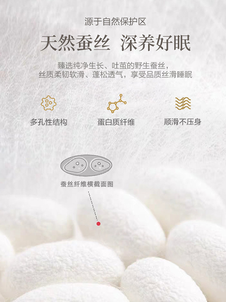 Fuanna Silk Pillow for Adults, Cervical Spine Protection, Sleep Aid, Cervical Spine Pillow, Home Pillow Core, Silk Pillow, Pair of Pillow Cores