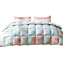 Fu Anna down quilt white goose down all-season quilt thickened quilt winter warm quilt student dormitory spring and autumn quilt core