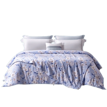 Fuana mulberry silk quilt core spring and autumn quilt four seasons quilt winter two-in-one double quilt summer air-conditioned quilt summer cooling quilt