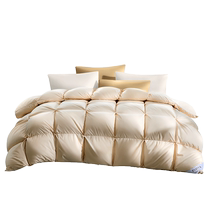 Fuana quilt imported from Ukraine 95 white goose down duvet warm winter quilt double spring and autumn thickened quilt core