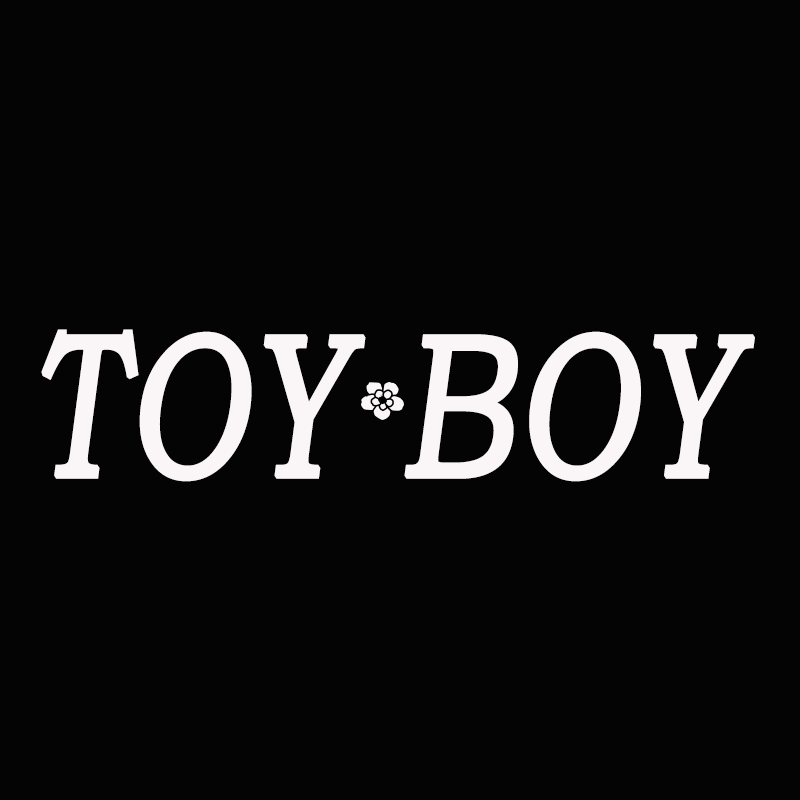 TOY BOY