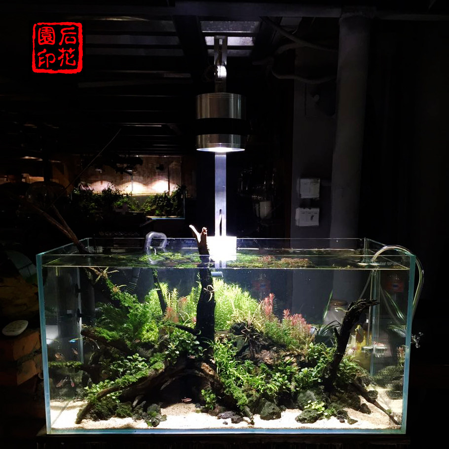 New Nitley led aquatic grass lamp Pro version mobile APP new lamp bead god lamp holder full spectrum