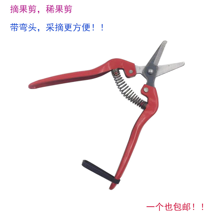 Oblique mouth fruit picking shears Pruning shears Fruit tree scissors Pruning shears Horticultural shears Tree horticultural thin fruit shears warped mouth