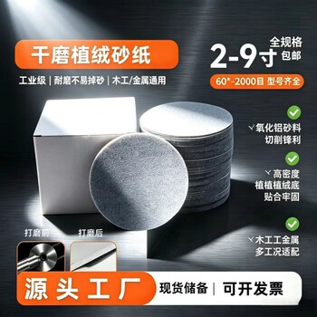 Taurus 5-inch dry sanding paper sheet flocked round