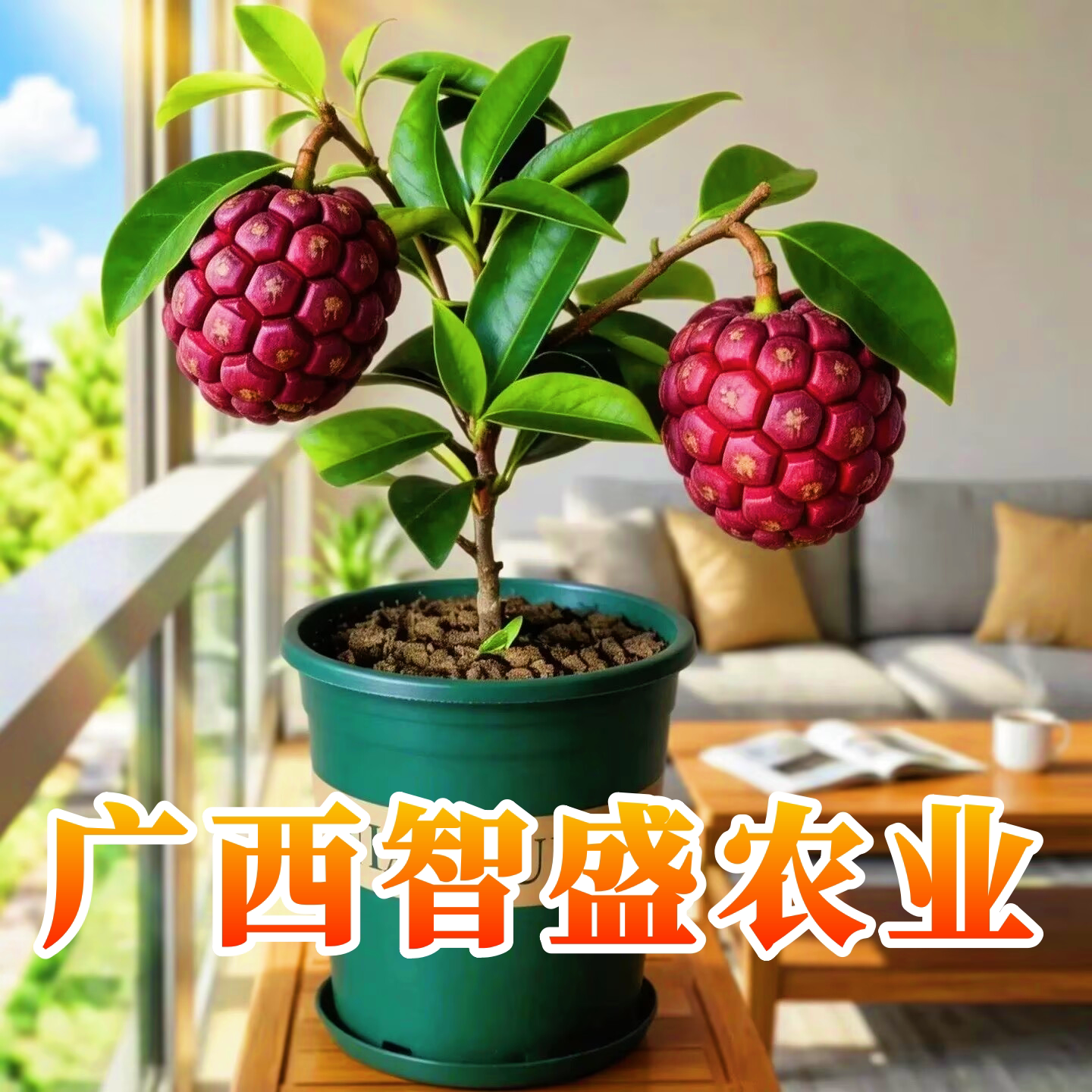 广西智盛农业的LOGO