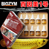 100 Invisible fish bacteria fungal infection in the US No. 1 fish tank Rotten Tail of the Rotten Enteritis and inside and outside of the Trichoderma