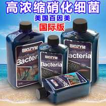 International edition 100 Inamelized bacteria Longfish Freshwater Nitrobacteria Liquid Nitrobacteria of Freshwater Nitrobacteria