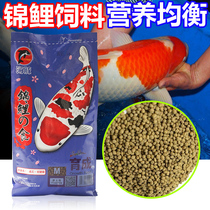 Dolphin koi fish feed Fish food Germ color Yang breeding body-enhancing staple food fish food Spirulina body-enhancing koi fish food