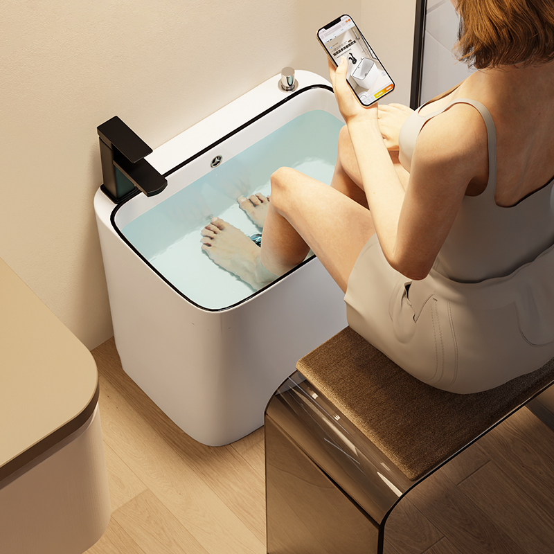 Weilan Classic Bathroom Footbath Table Control Multi-Functional Pool Deepened Floor-To-Ceiling Sink Footbath Special Basin Wt12