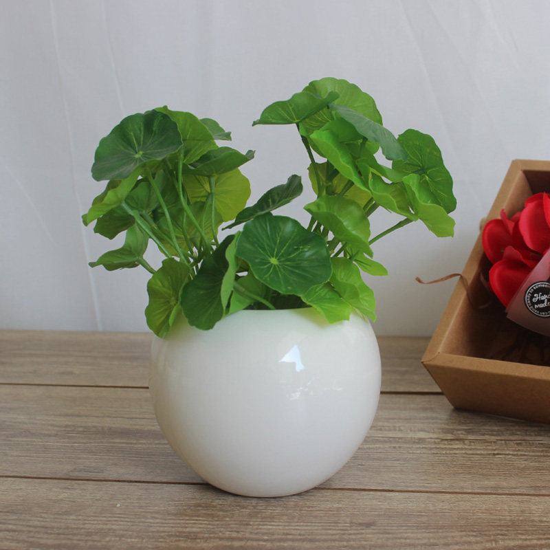 水植花盆陶瓷水栽培花盆無孔大圓形球儲水裝水花盆黃金葛可加logo