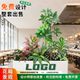 Artificial Green Plant Landscaping Combinations, Indoor and Outdoor Fake Flower Arrangements, Mall Flower Boxes, Flower Ponds, Partitions, Restaurant and Store Decor in a Mountain Style